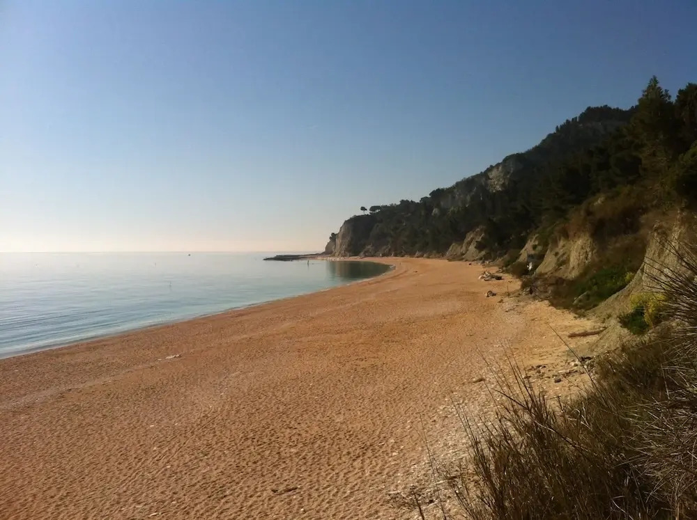 Lacrimarte