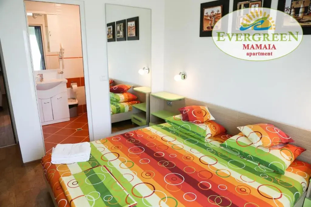 Evergreen Vlas Mamaia