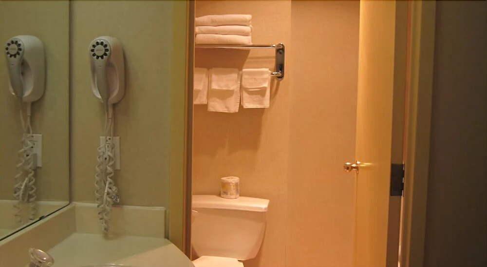 Ottawa Plaza Inn Downtown