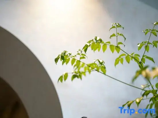 S&N Yiting Hotel Hongqiao Shanghai