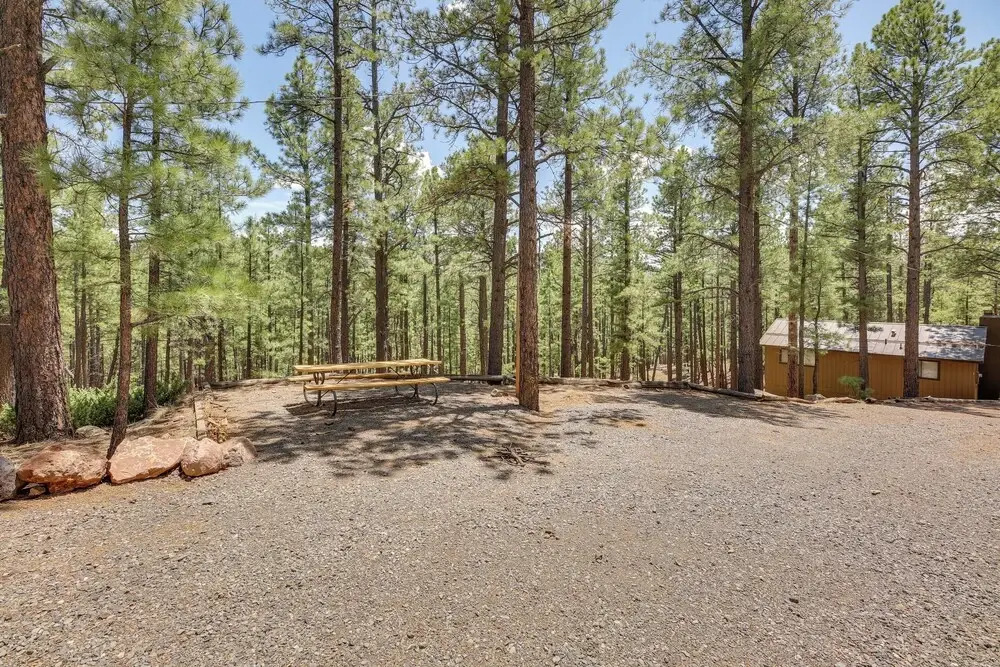 Cozy Cabin in Greer: Hike, Bike & Ski!