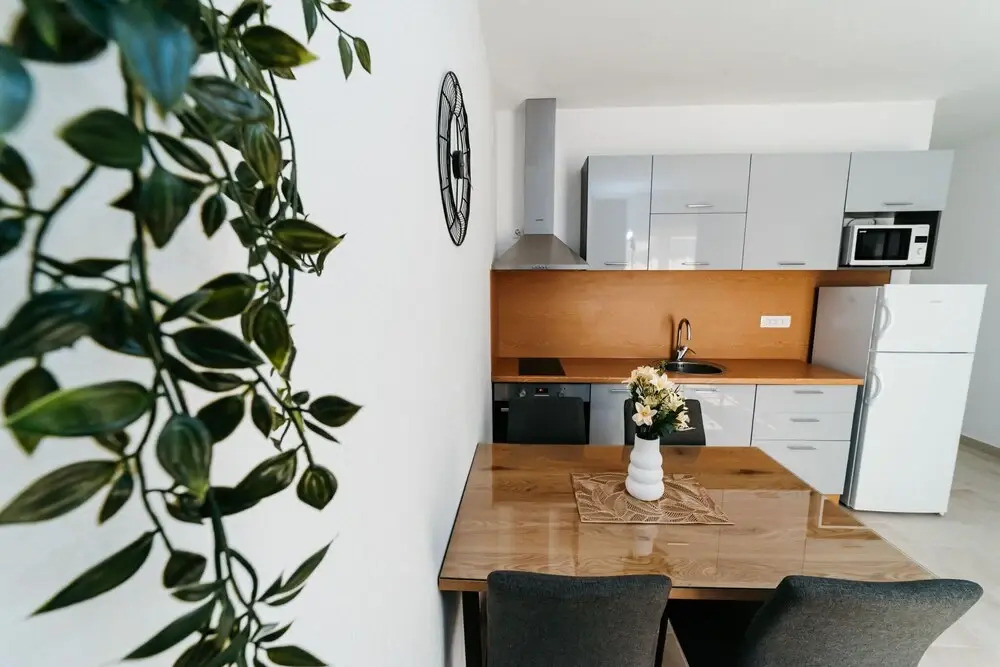 Apartments Seka