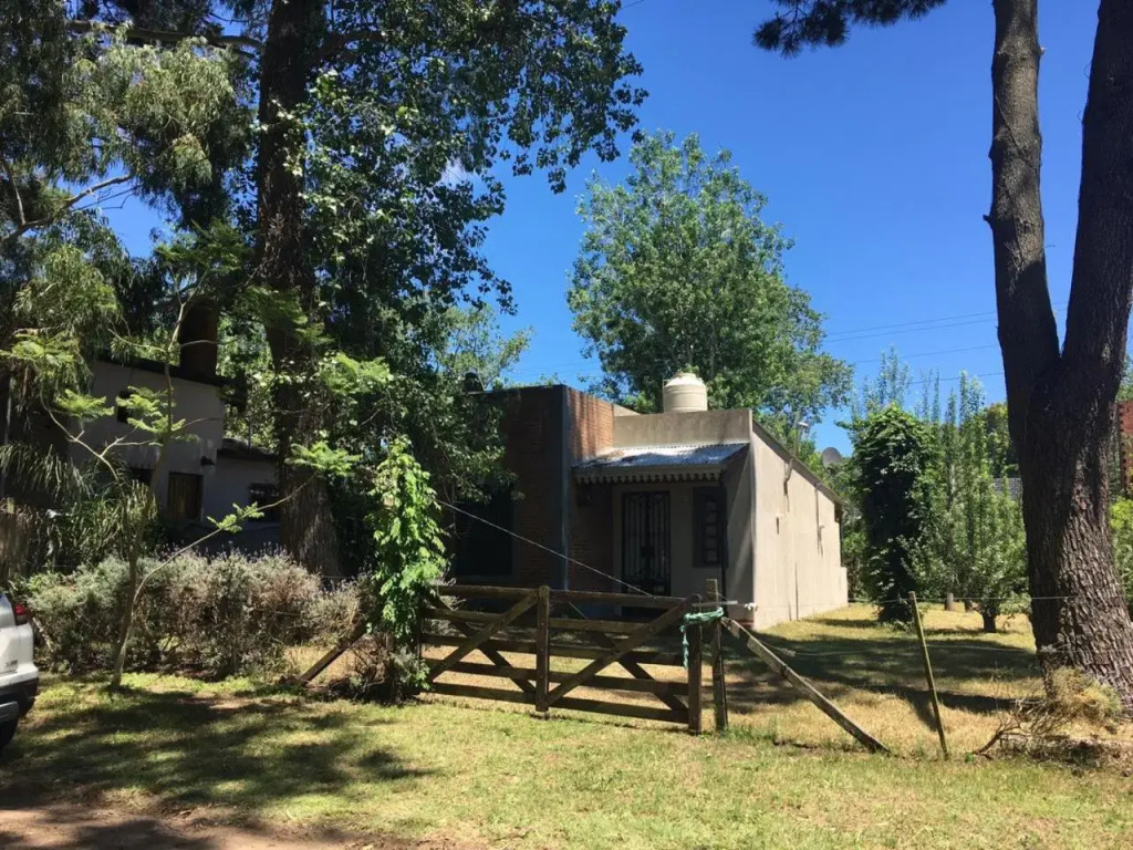 Santa Teresita en el monte