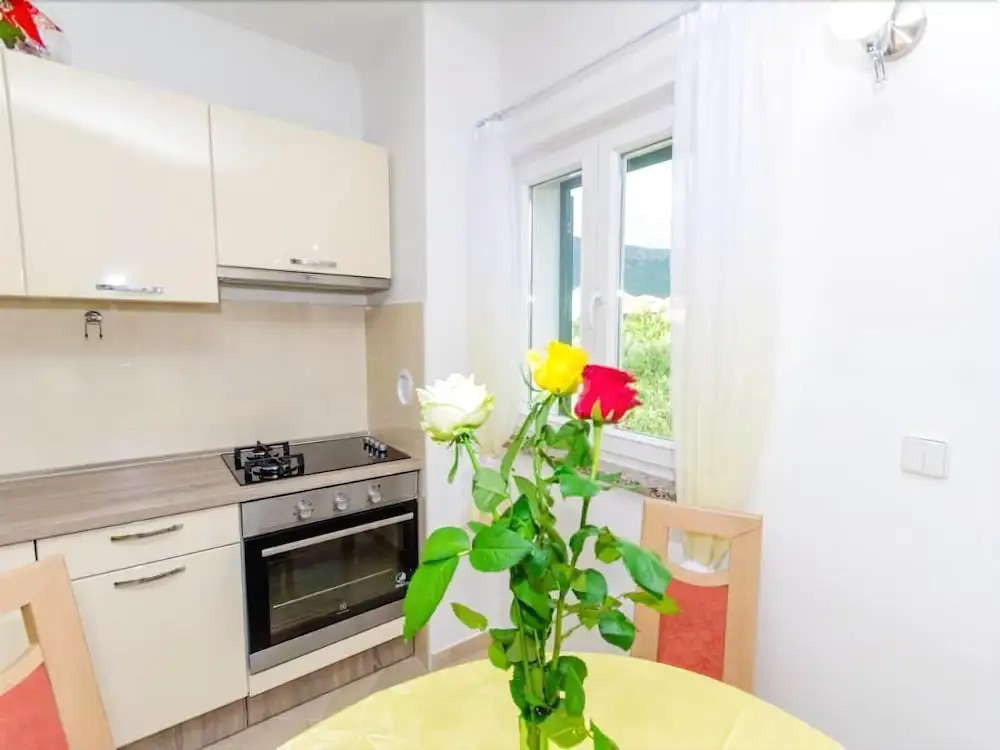 Apartments Predrag