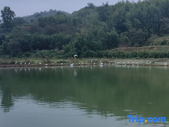 Huxiao Gorge Rafting | Cilin Xiaozhu Mountain Residence Chinese Inn