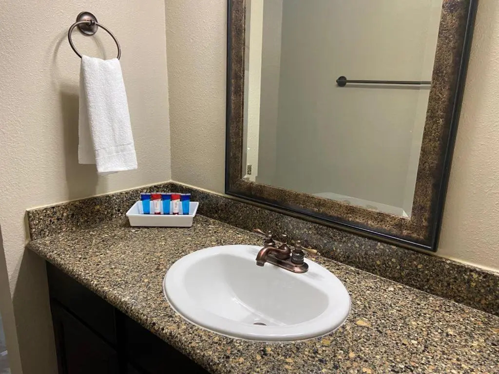 Resort Style Apt/Home in Houston Medical Centre