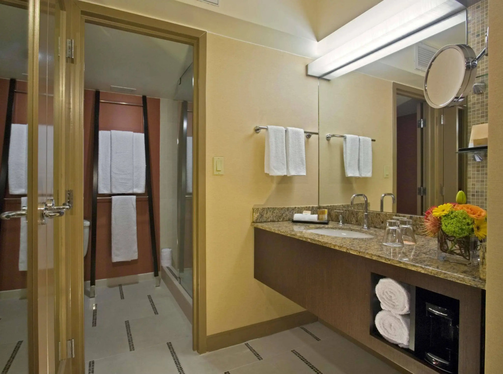 Hyatt Regency DFW International Airport
