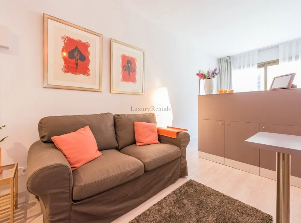Cozy Elegant Studio in Villanueva Madrid