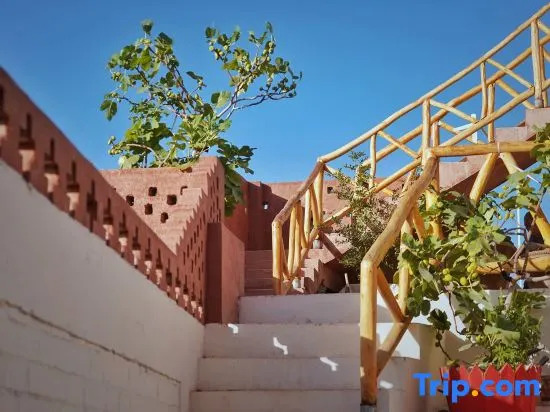 Wild-West-Explorer Home-stay