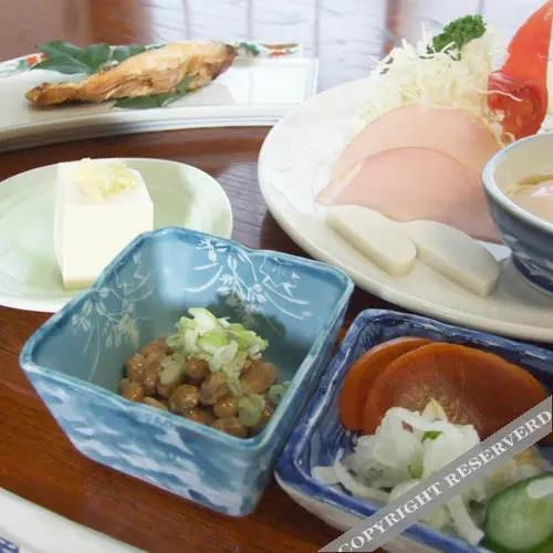 Nikko/Kinugawa Inn Ryokufuen