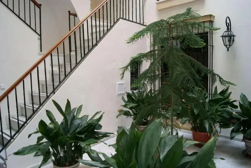 Casa Palacio Luna