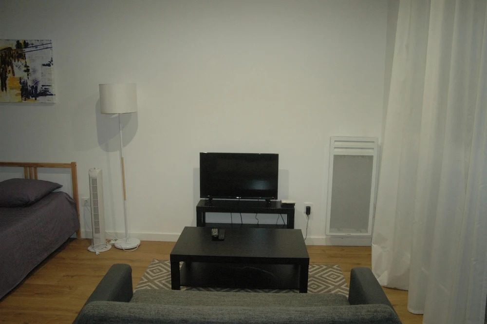 Grand T1 Palais de justice apartment