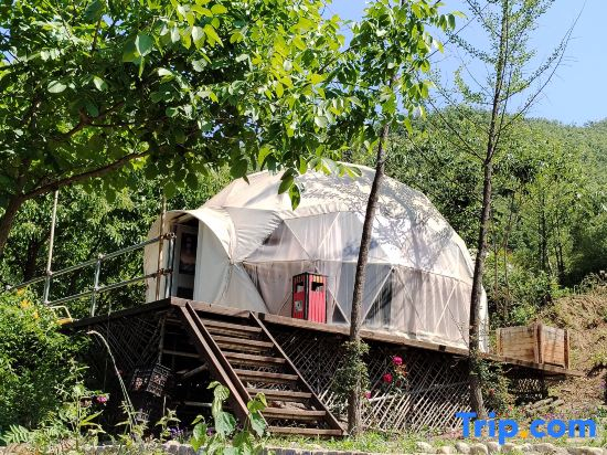 Song Wild Luxury Tent Homestay