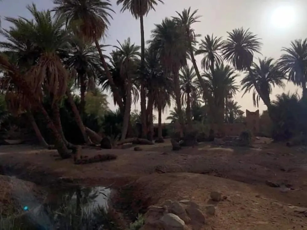 Sahara Source Vie
