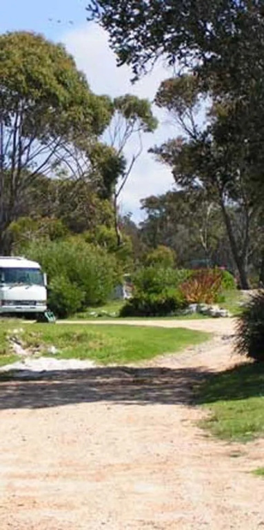 Scamander Tourist Park