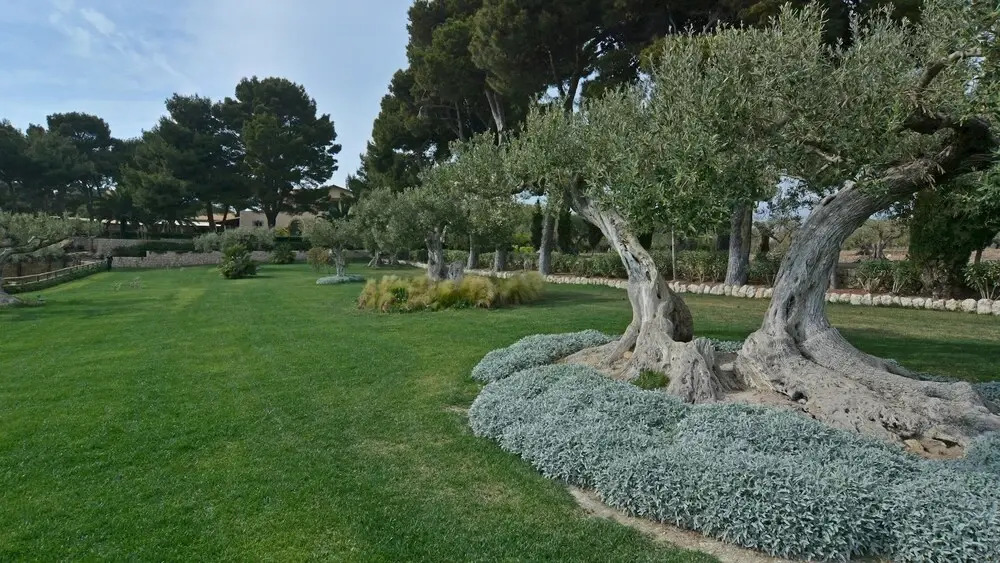 VILLA TERRA DEL SOLE 8, Emma Villas