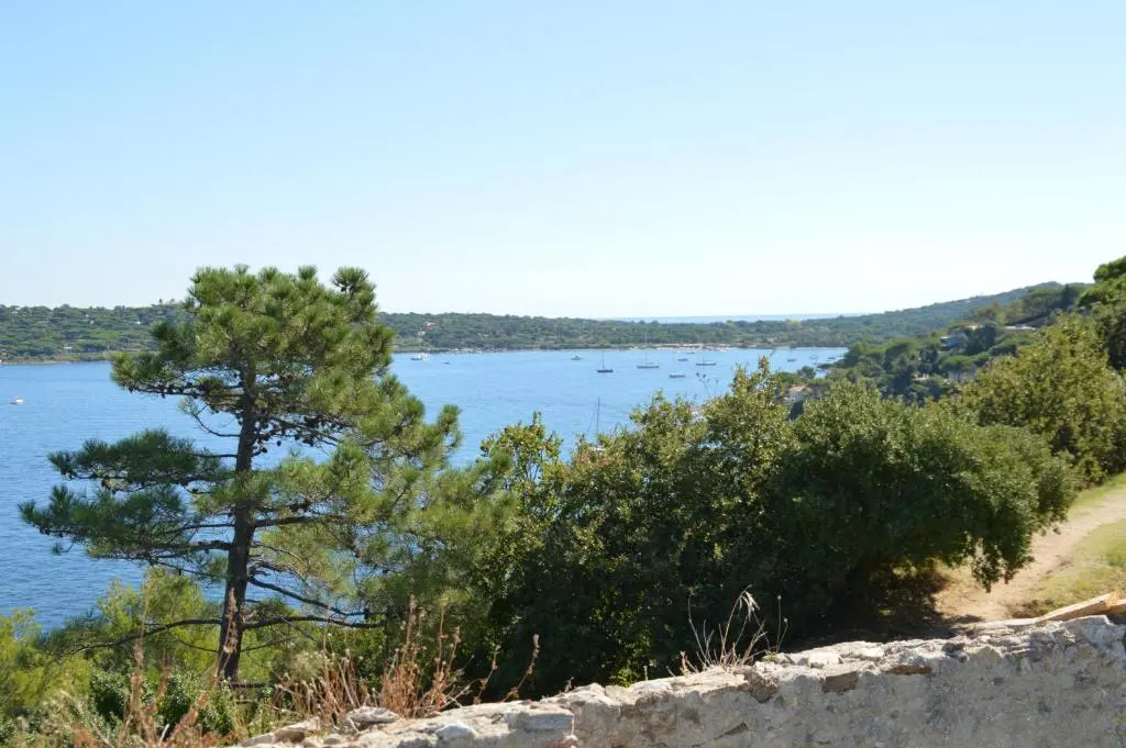 Les Glycines