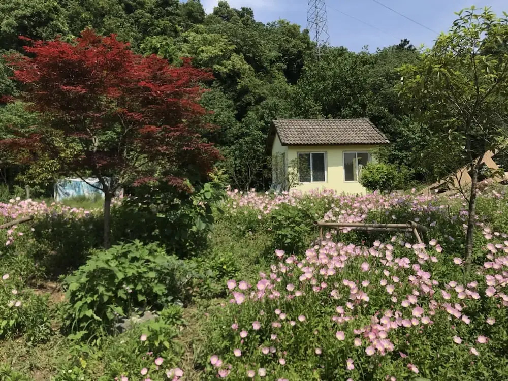 Hangzhou Tongjia country Resort