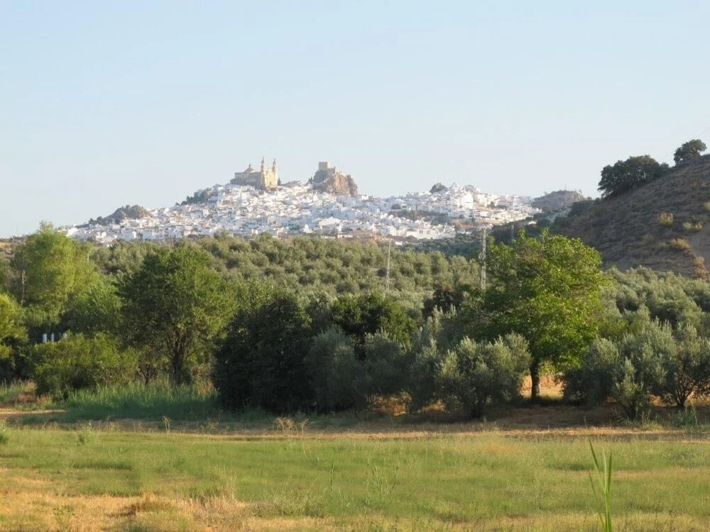 Rural Holiday Home With Pool Near Olvera, Ronda