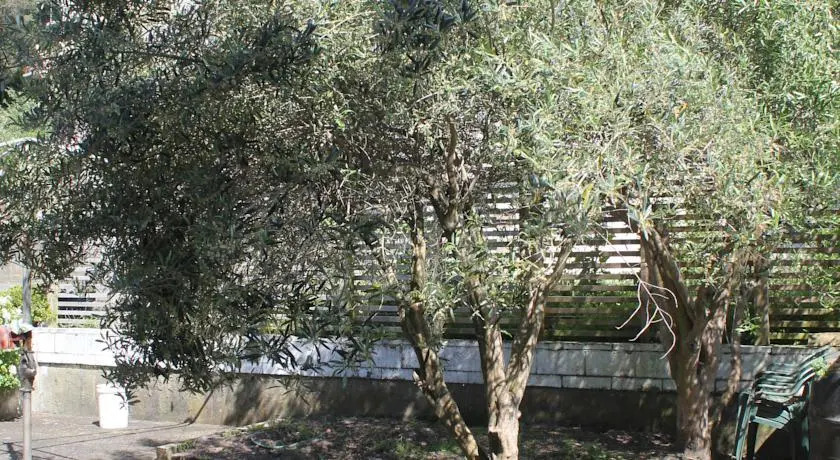 Olive Tree Bed & Breakfast