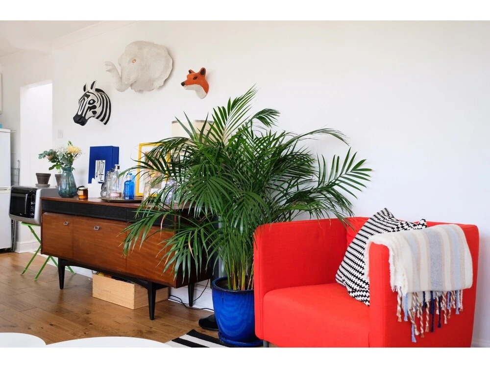 Cozy & Homey Flat for 4 in Trendy Stoke Newington