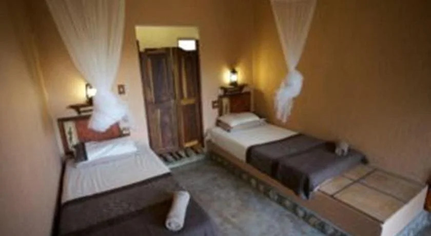 Sasa Safari Camp & Tours
