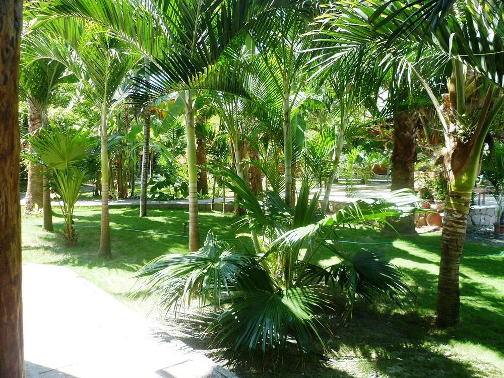 La Barquita Beach Hostel