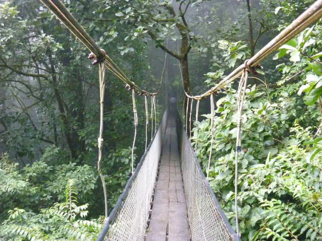 Hotel y Puentes Colgantes Heliconias Rainforest Lodge