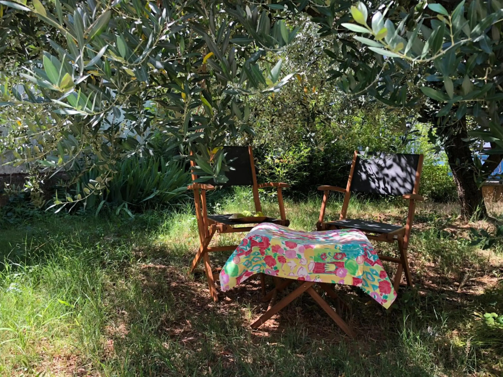 Magnolia
