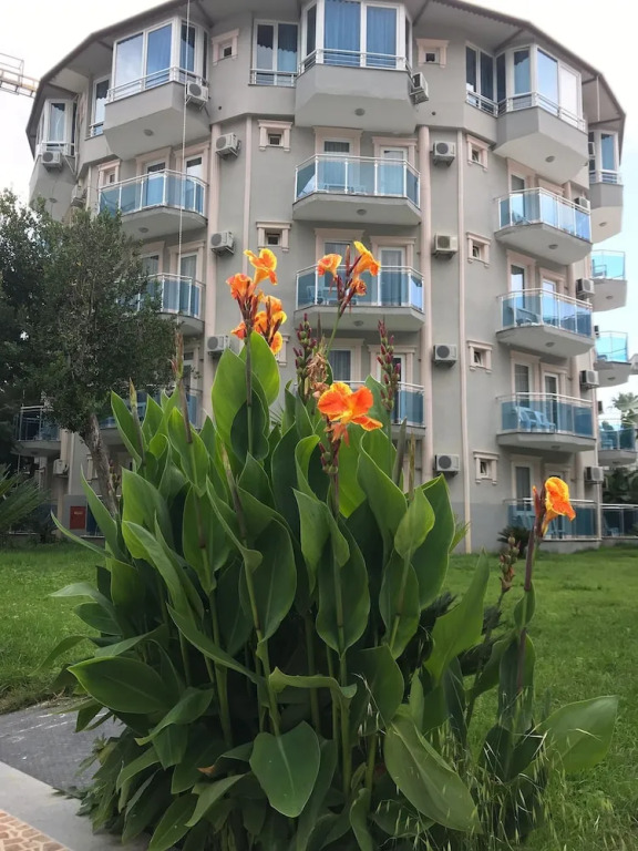 Отель Rios Latte Beach 