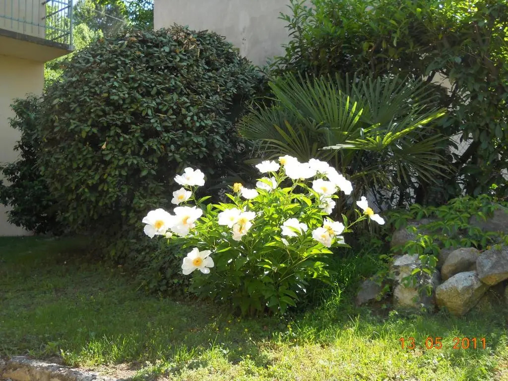 Villa DAzeglio