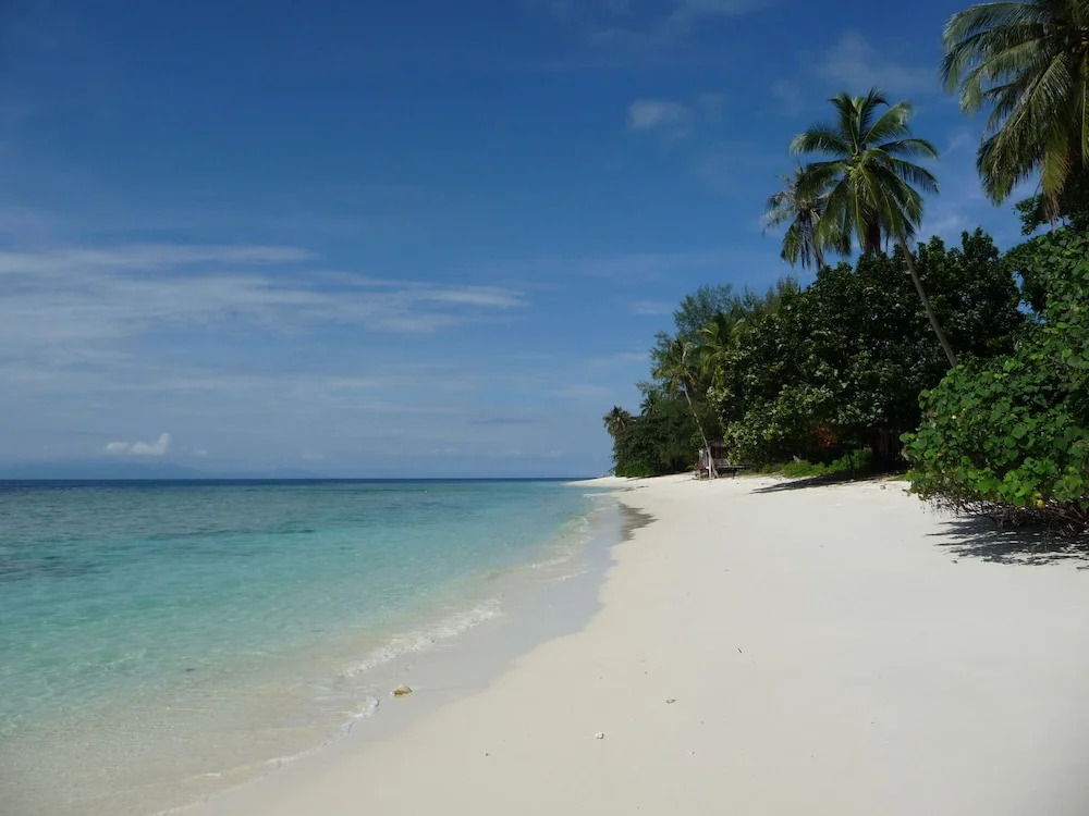 D' Coconut Pulau Besar Resort
