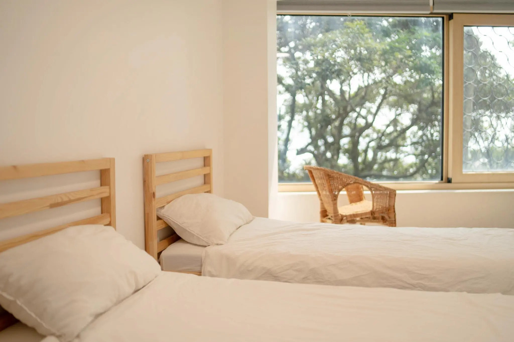Jeju Backpaecus Villa