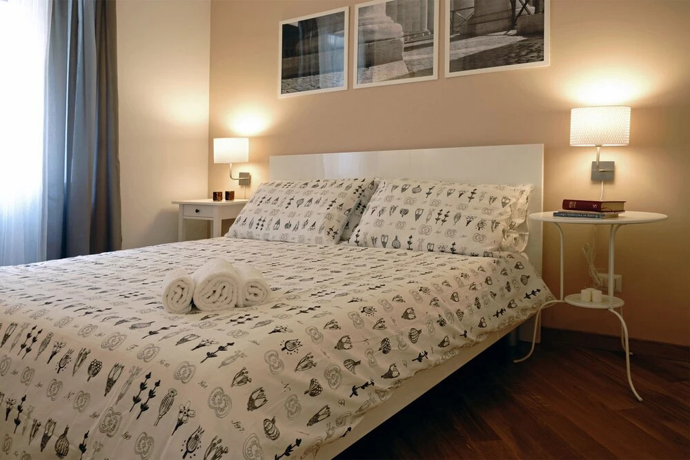 Deluxe Apartment near to the Vatican