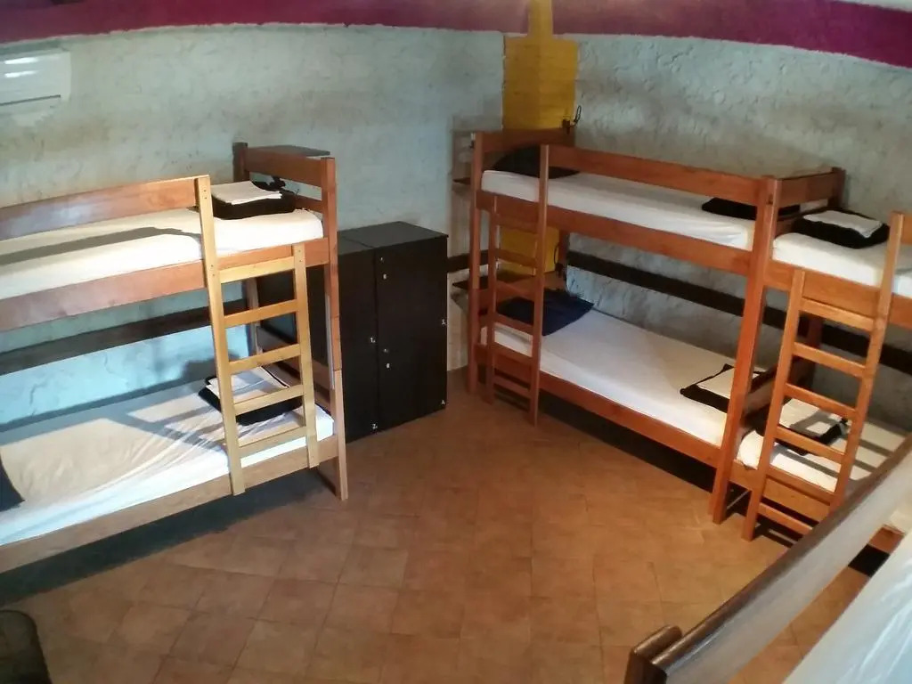 The Lazy Monkey Hostel & Apartments
