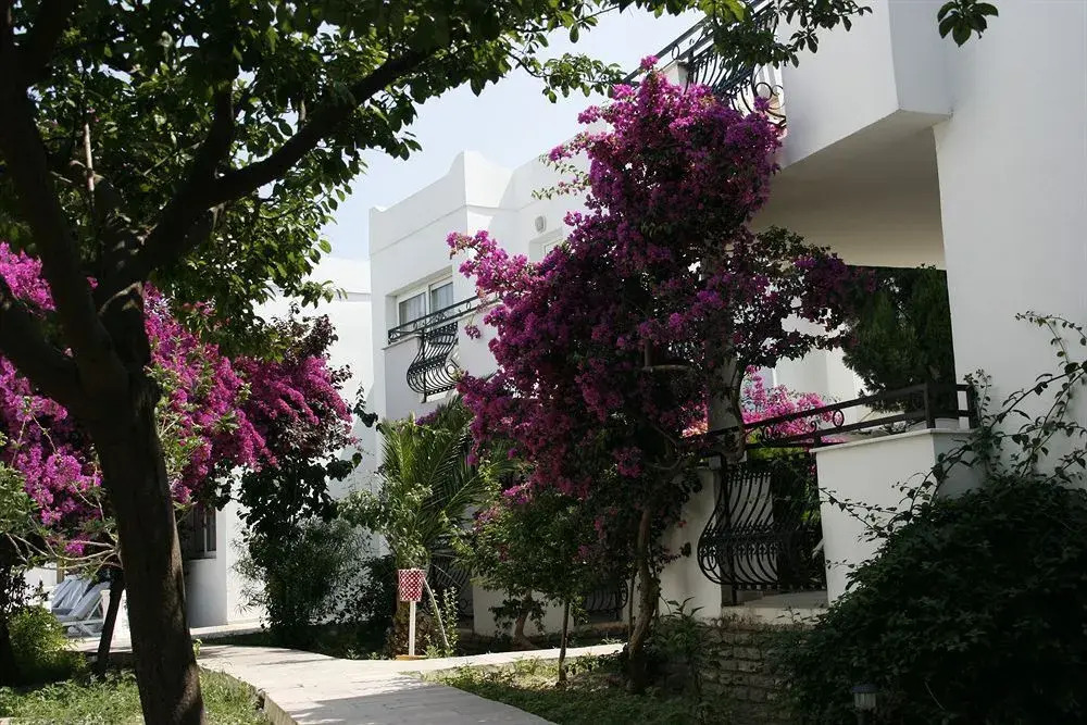 Club Arya Apart Hotel