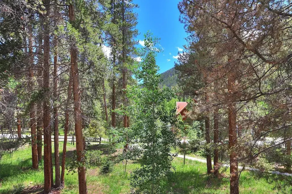 1125 Flying Dutchman 1 Bedroom Condo by RedAwning