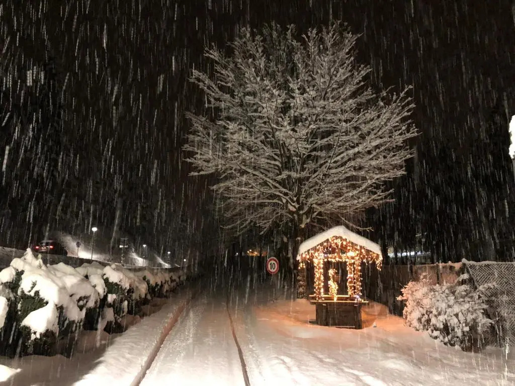 TH Borca di Cadore - Park Hotel Des Dolomites