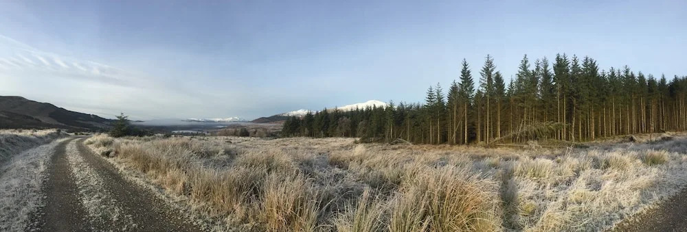 Callander Meadows
