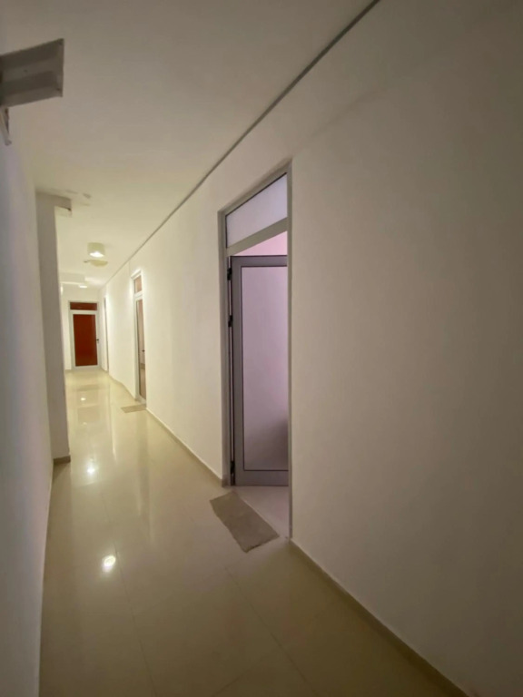 Violet Studio Apartment