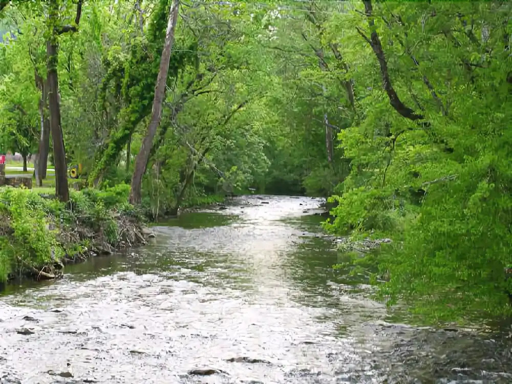 Mystical Creek Pool Lodge #600