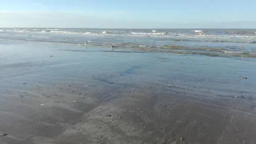 Appartement voor 6 personen in Koksijde met zeezicht