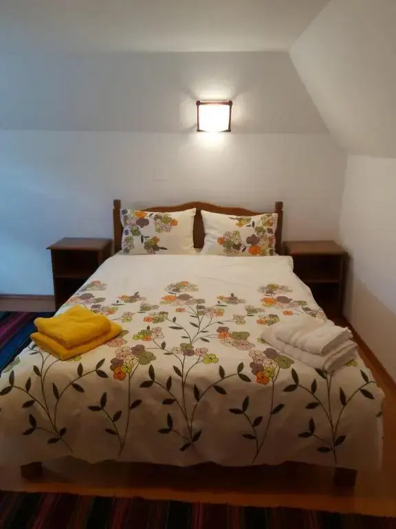 Casa de vacanta Padis