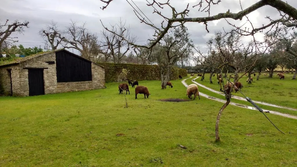 Casa Grande - Casas de Campo na Serra da Estrela