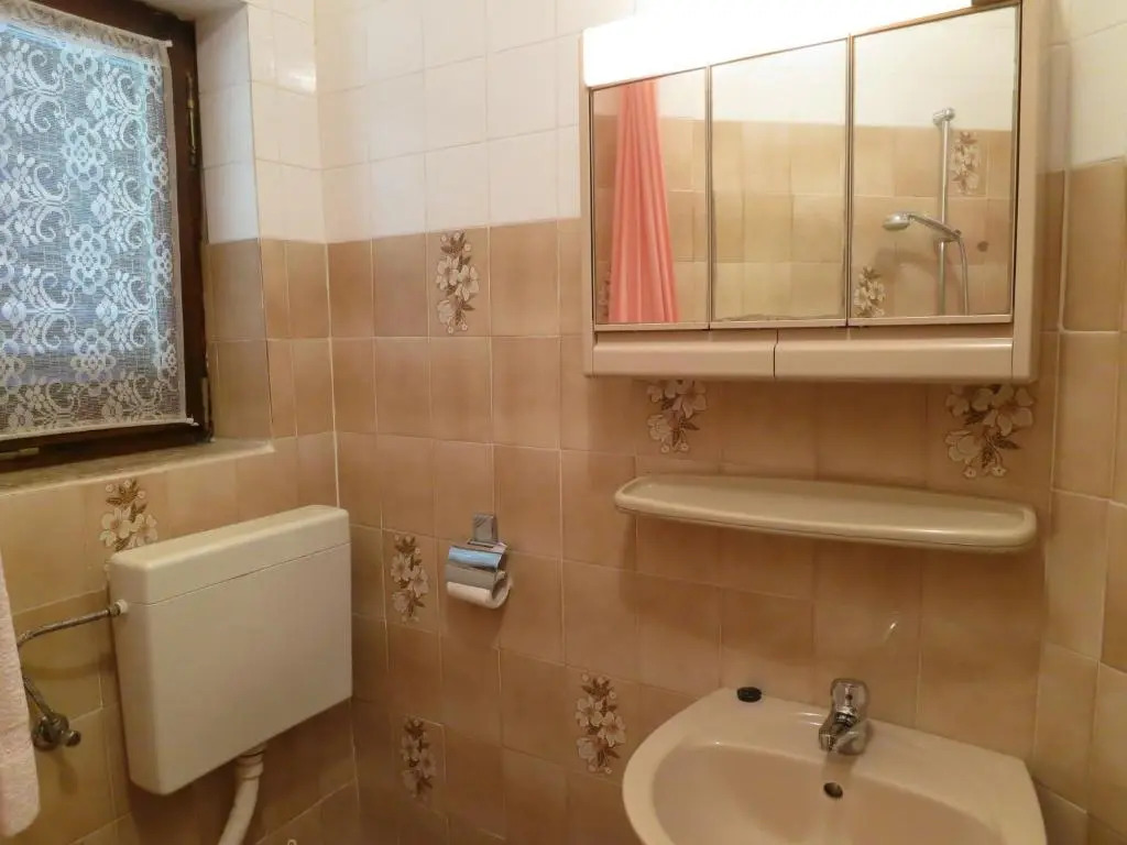Apartment Branko