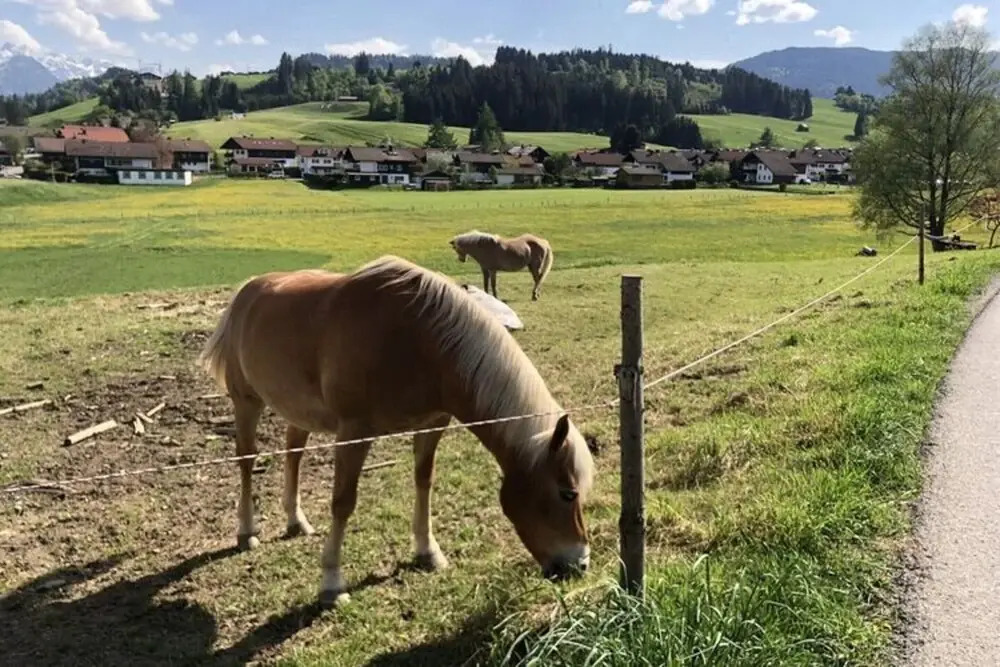 Nice Holiday Apartment in Fischen
