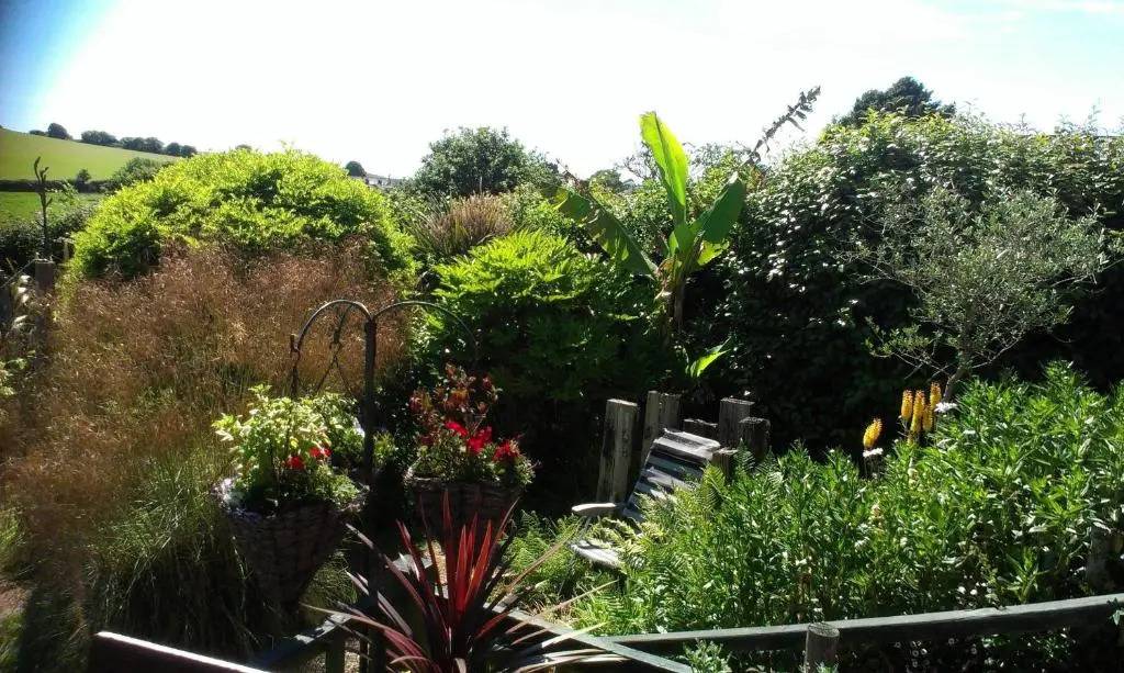 Tilly Cottage