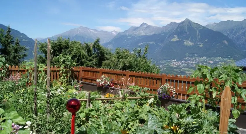 Schwarzplatterhof