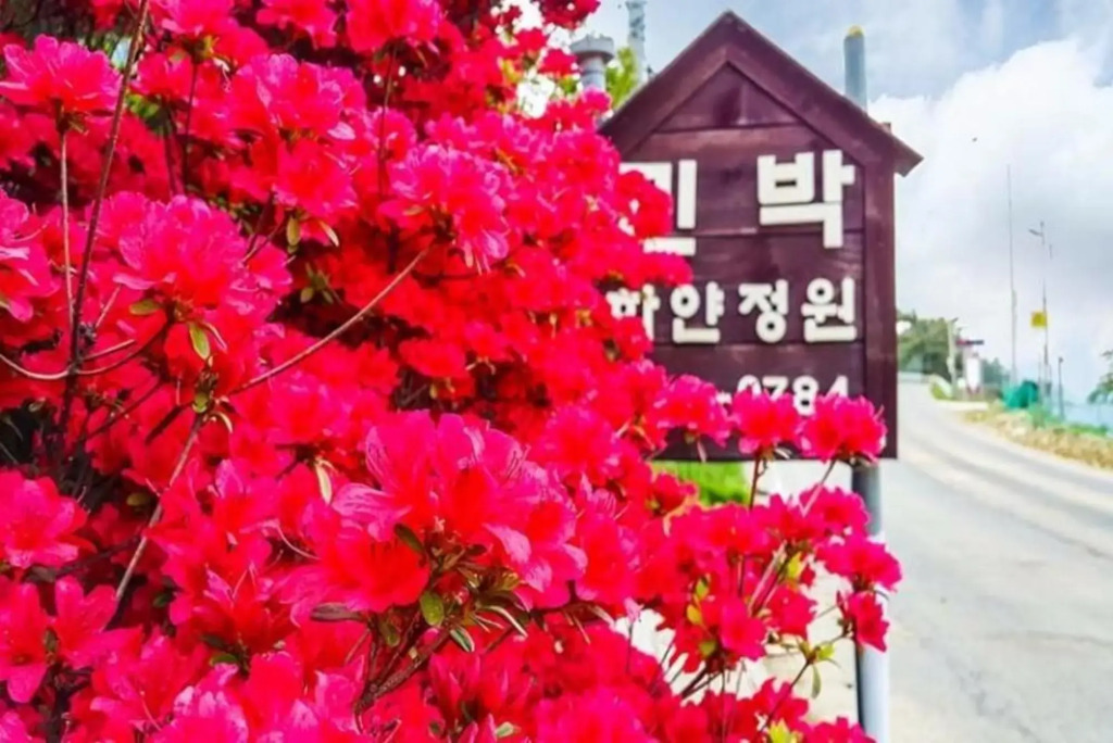 Yeosu Hayanjeongwon Pension