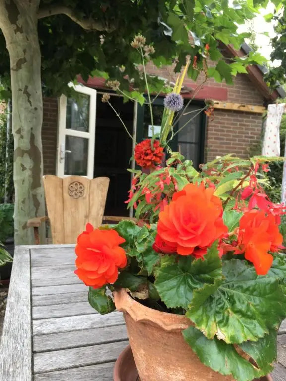 't Keetje